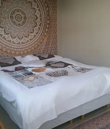 The Shanti Studio شقة *