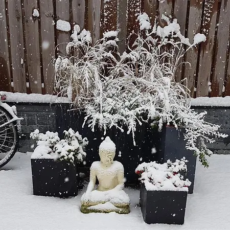 Lejlighed The Shanti Studio Bussum